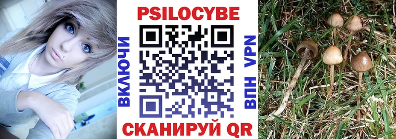 Псилоцибиновые грибы ЛСД  MEGA как войти  Хилок 