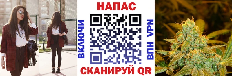 Марихуана сатива Хилок